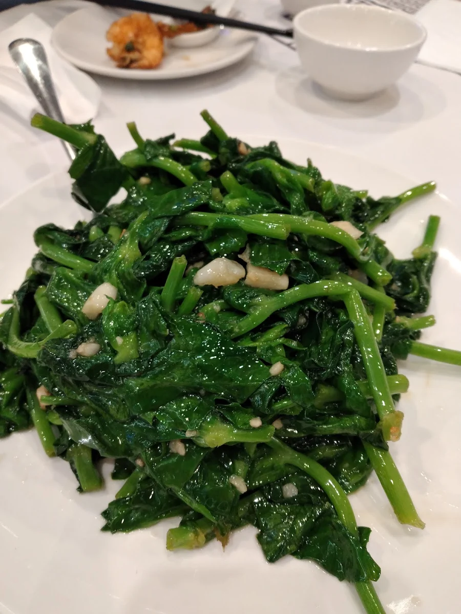 Gai Lan Chinese Broccoli with Garlic Sauce 蒜蓉芥蓝